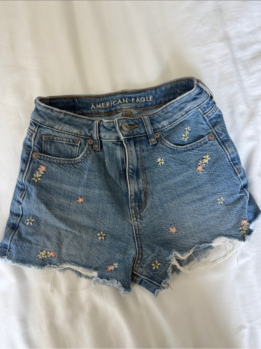 American Eagle Outfitters Light Blue Denim Floral Embroidered Cutoff Shorts